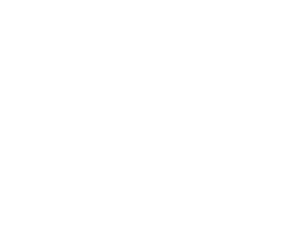G4 INVESTMENTS